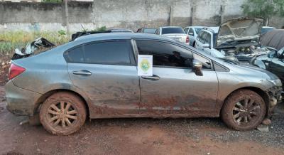 Manoel Ribas: Maior apreensÃ£o de maconha do ano na Ã¡rea do 16Âº BatalhÃ£o da PM